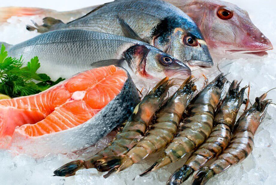 Fish cold storage - TITAN Containers
